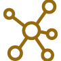 Consult & Transform
