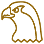 Falcon Philosophy